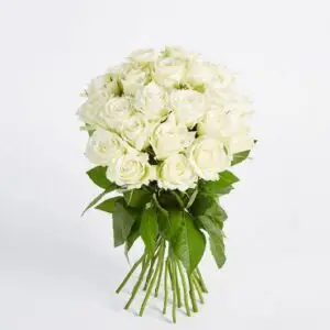 Product 09